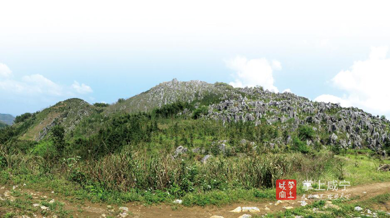 养在深山人未识 一朝踏勘天下知——通山县南林桥镇高桥村探秘