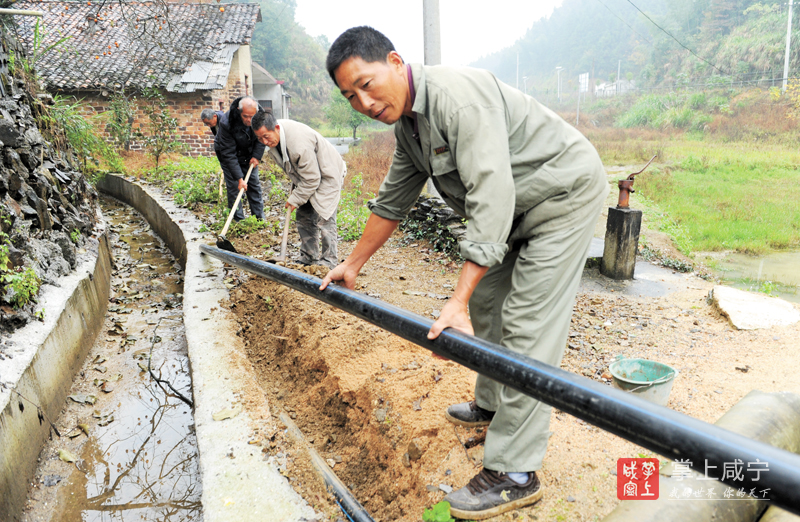 11月24日,崇阳铜钟乡坳上村支书带领村民安装自来水管.