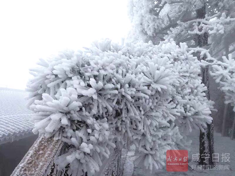 图文：今冬初雪