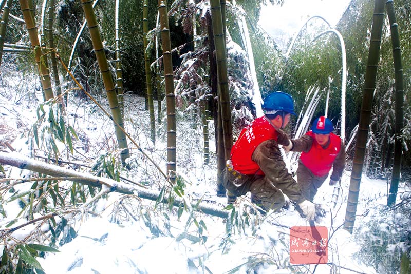 图文：战冰雪保供电