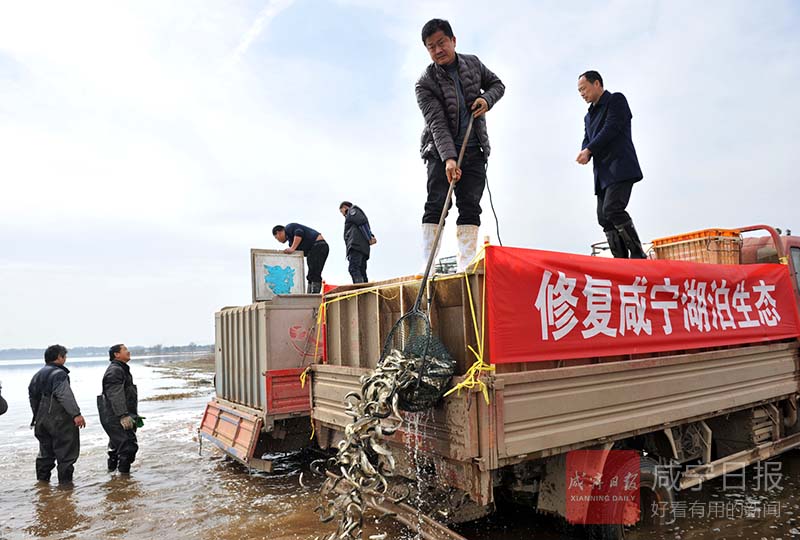 图文：增殖放流