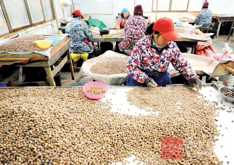 图文：湘莲特产  俏销市场