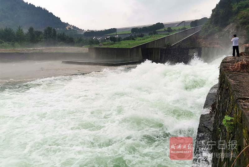 图文：迎战强降雨合力保安澜