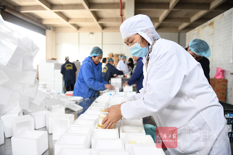 图文：咸安区向阳湖镇祝垴村村民家门口就业