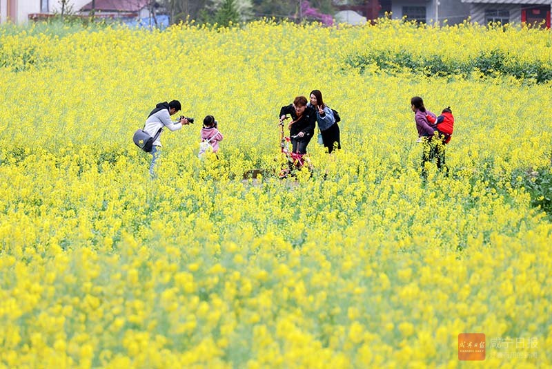 图文：三月芳菲 乐享春光