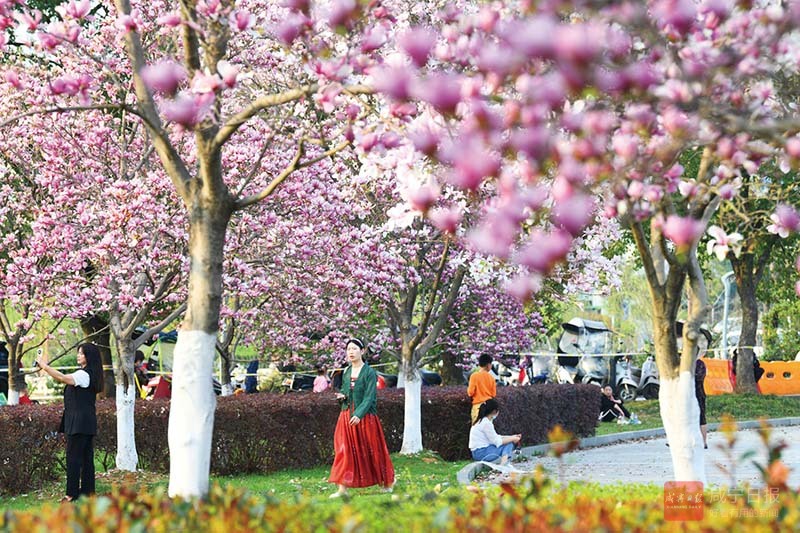 图文：花花世界 幸福满满