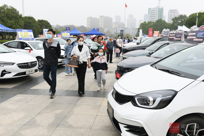 图文：市人民广场举办车房展