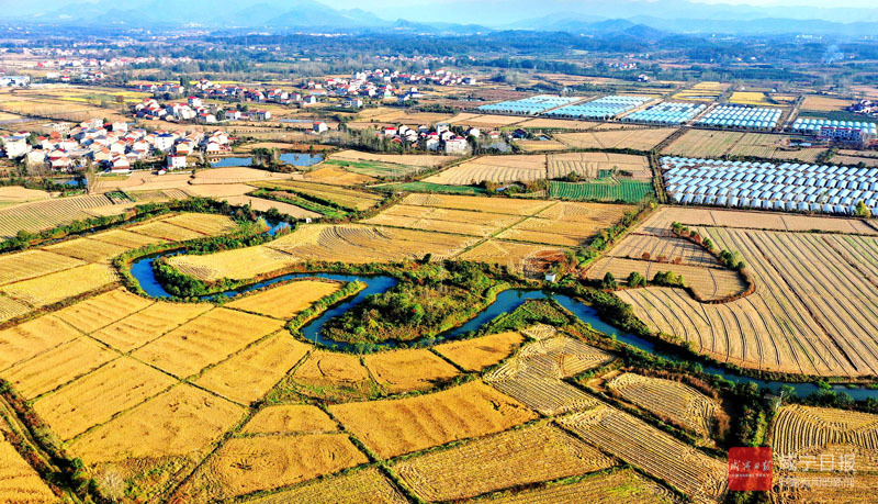 图文：乡村沃野绘新景