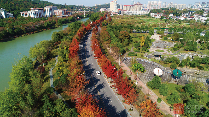 DJI_0451.jpg