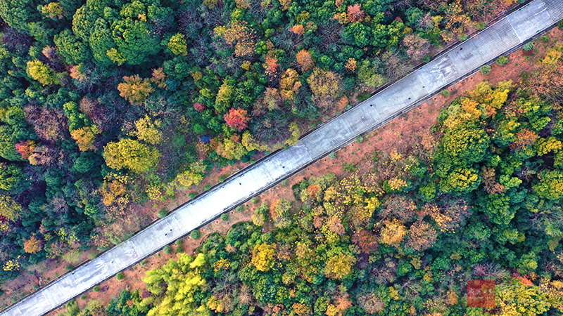 图文：登潜山 赏红叶