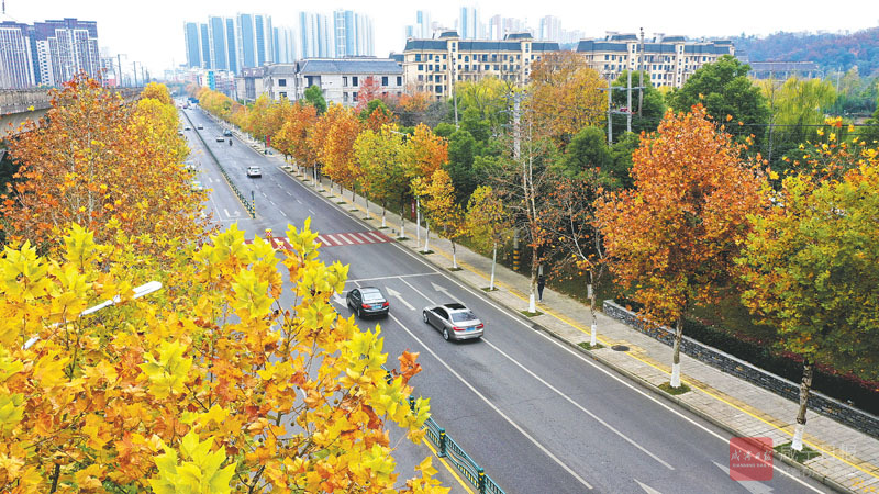 图文：一路好风景