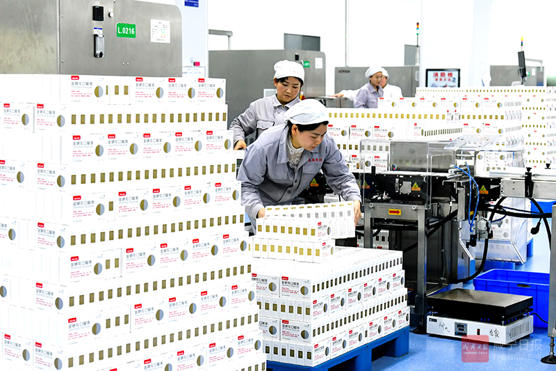 图文：真奥药业开足马力赶订单