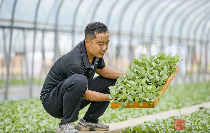 图文：抢抓农时育秋苗