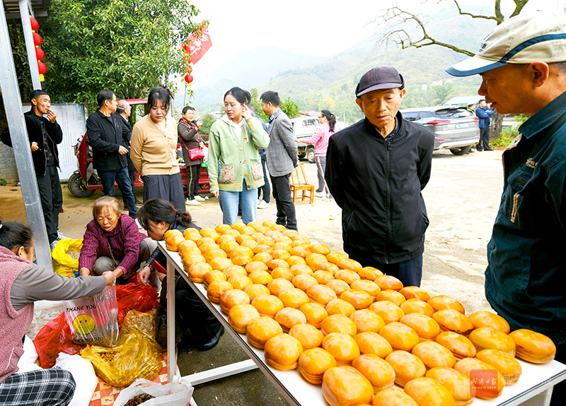 图文：油柿节热闹开锣