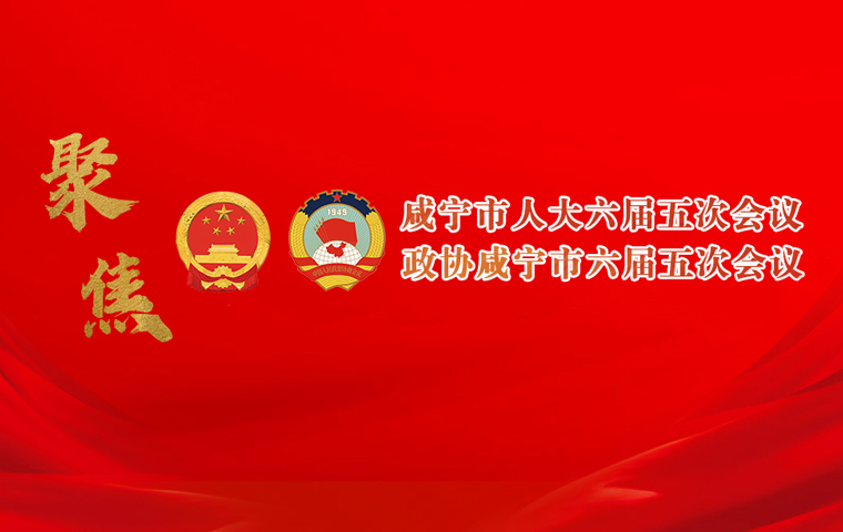 聚焦咸宁“两会”