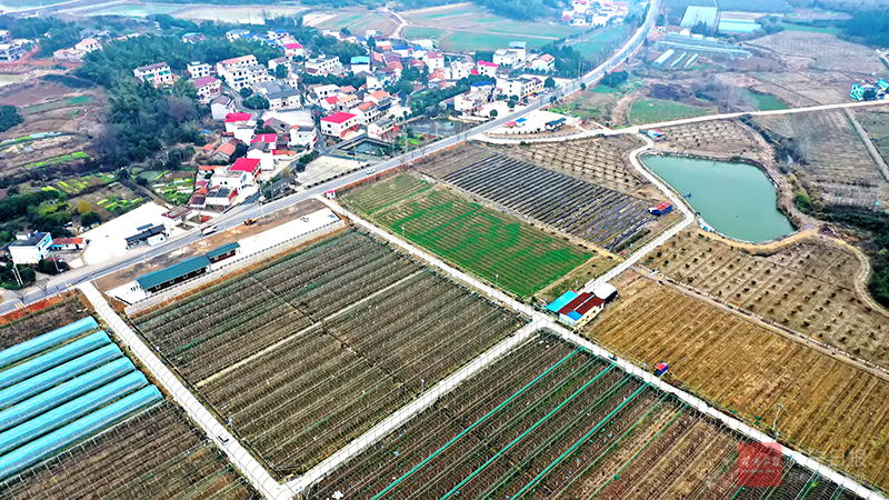 图文：阡陌纵横  和美如画