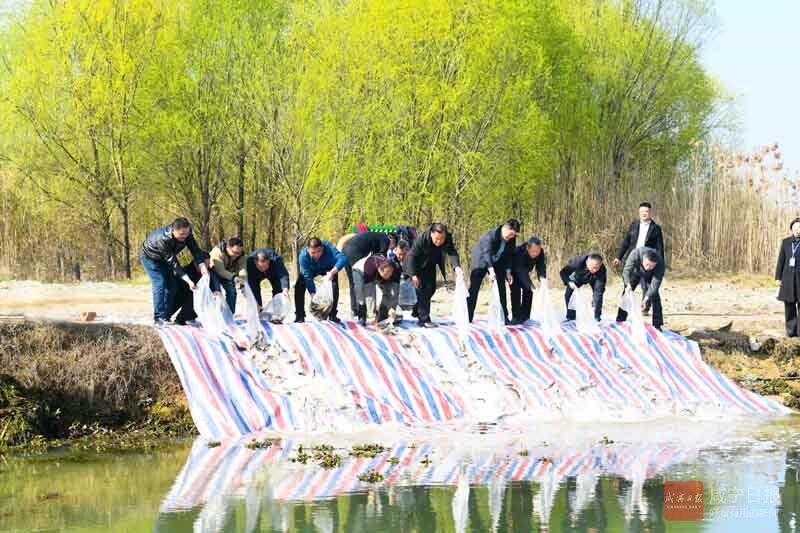 图文：增殖放流养护水生态