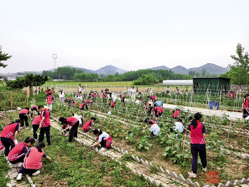 图文：校社联动实景劳动育成长