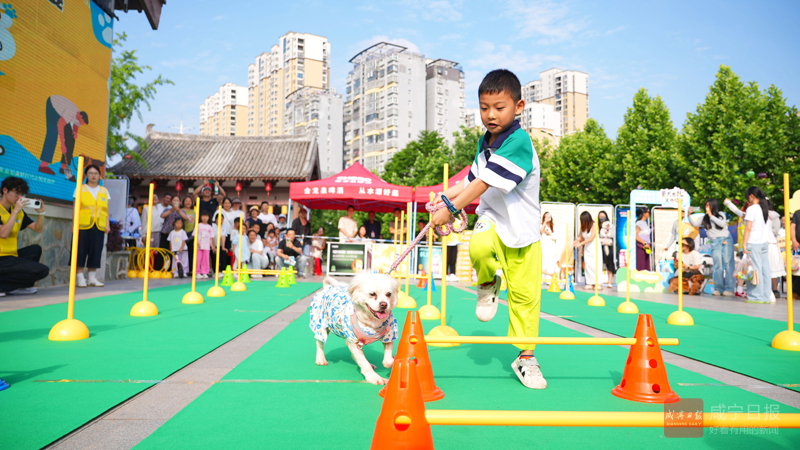 图文：文明养犬嘉年华欢乐开场