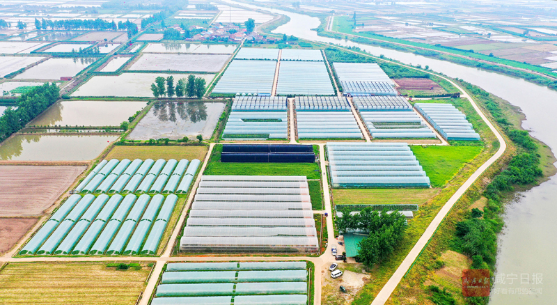 图文：现代农业绘新景