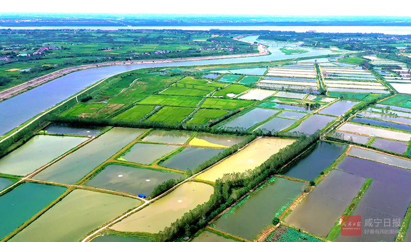 图文：生态农业田园新景