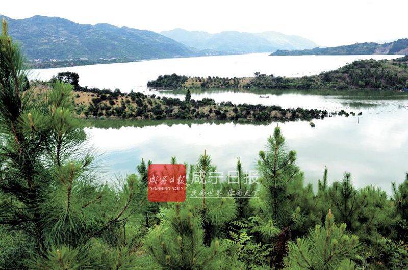一岛一品连片成景——通山县富水湖岛屿"美颜"记